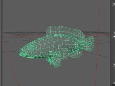 Grouper Low-poly 3D model