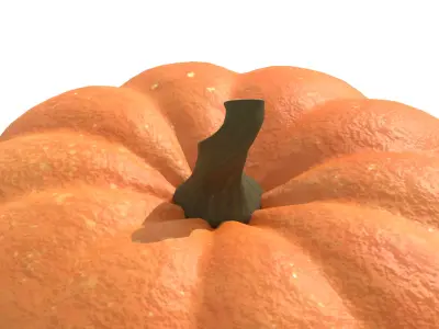 Halloween Pumpkin 2025 - Wolf Free 3D model