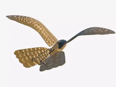 Aerium Robird falcon drone Low-poly 3D model