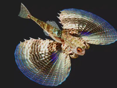 Gurnard Low-poly 3D model