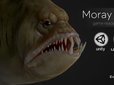 Fish low poly model - Moray Eel fish - horror - monster fish 4 Low-poly 3D model