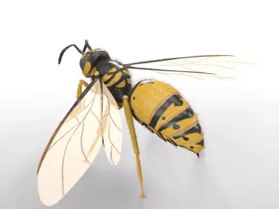 Wasp insect Low-poly 3D model