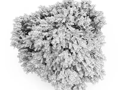 Desert False Indigo 3D model