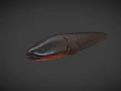 Electric Eel Low-poly 3D model