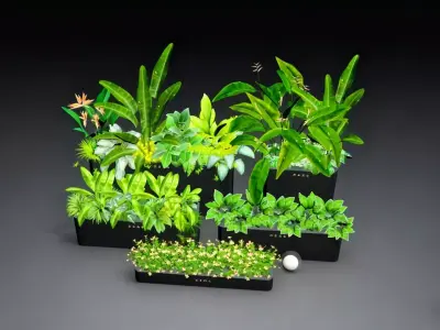 Home Green Plant Matching 3D model