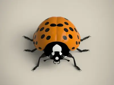 Ladybug Low-poly 3D model