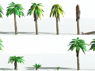 EVERYPlant Bjuvia Cycad 3 --12 Models-- 3D model