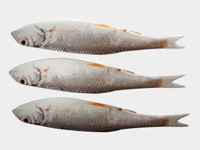 Small fish Low-poly 3D model