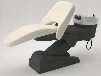 Pro - Yume Takara Belmont Hair Washpoint 3D model