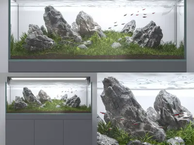 Aquascape aquarium Iwagumi 3D model