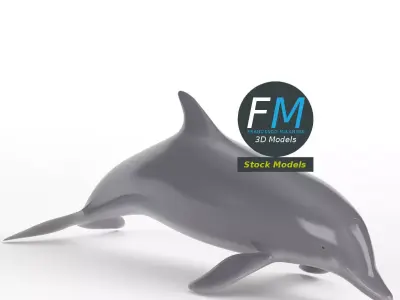 Stylized dolphin 3D model