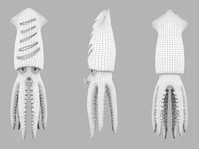 The grilled Squid rigged   3D model
