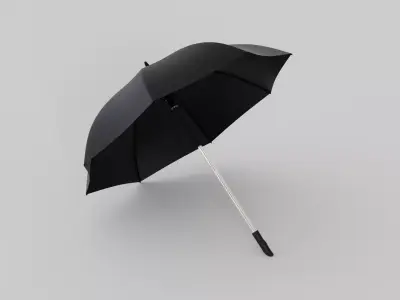 Umbrella 3D model get