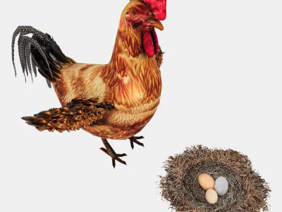 Chicken With Nest Low-poly 3D model