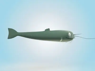 Catfish 3D model