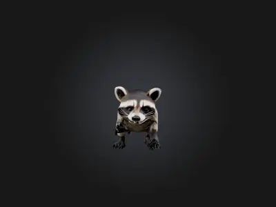 Realistic Hurt Raccoon Model Low-poly 3D model