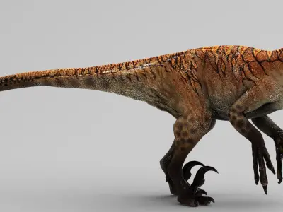 THE ULTIMATE RAPTOR Low-poly 3D model