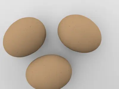 Chicken Eggs 3D model