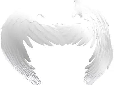 Dark Angel Wings  3D model purchase