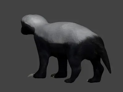 Honey Badger Low-poly 3D model