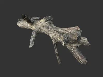 Realistic tree trunks with branches Low-poly 3D model