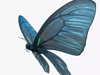 BlueButterflyAnimationC4D 3D model