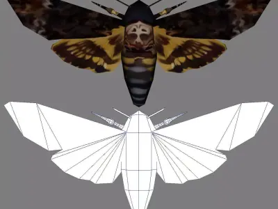 Low-Poly Hand-Painted Death Head HawkMoth Low-poly 3D model