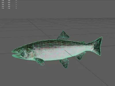 Salmon Low-poly 3D model