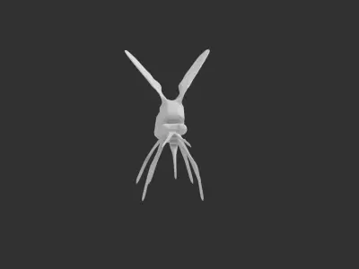 Mosquito 3D model