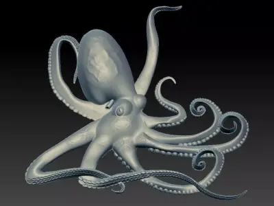 3D OCTOPUS with tentacles 3D model