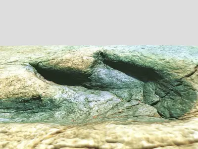 Footprint - fossil - dinosaur - 3D Printing 3D model