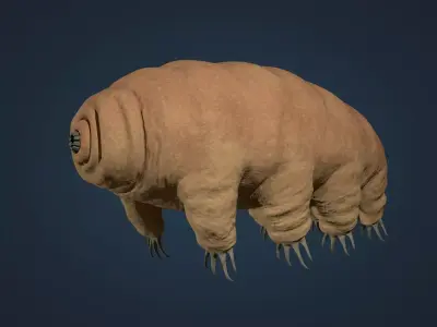 Tardigrade - Microscopic Water Bear - Moss Piglet Low-poly 3D model