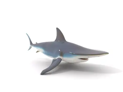 Hammerhead Shark Animated model pack Low-poly 3D model