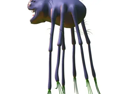 Hi-Poly Subdivision 3D Model Spider Low-poly 3D model