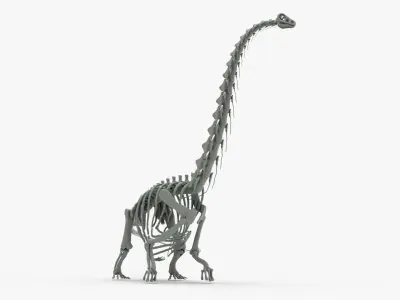 Argentinosaurus Rigged Skeleton Low-poly 3D model