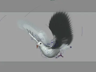 DOVE RIG 3D MODEL 3D model