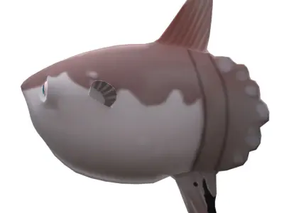 Mola Mola Animated Fish  Low-poly 3D model