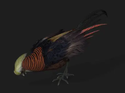 Pheasant A1 3D model
