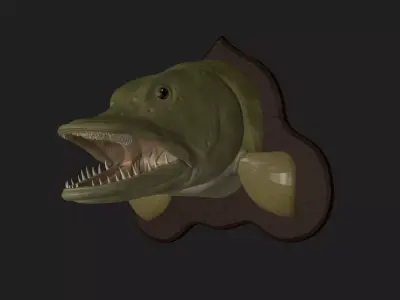 PIKE HEAD DETAILED TEXTURE TROPHY TAXIDERMY FOR 3D PRINTING Free 3D print model