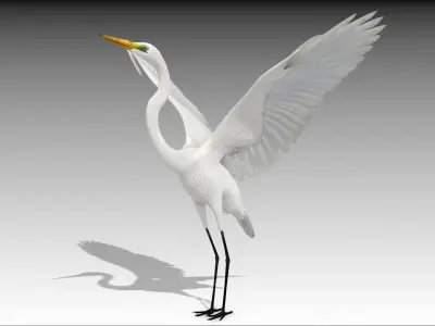 Egret Low-poly 3D model