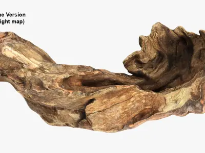 Tree Trunk Piece 12 3D model