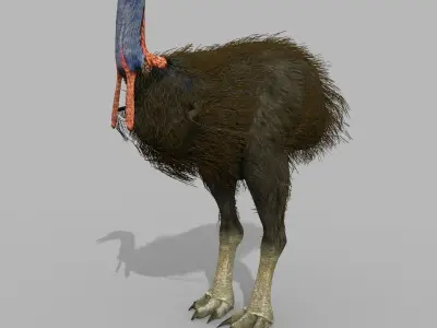 Elephant Bird 8K - 3d animated model 3D model