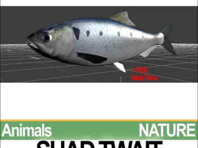 Twait Shad 3D model
