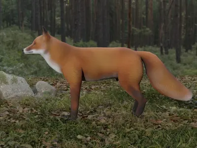 Fox LowPoly Low-poly 3D model