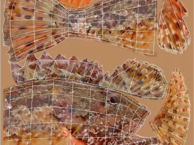 Skarpina - Scorpaena Scrofa Low-poly 3D model