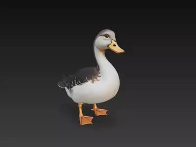 Duck Realistic 3D Model Basic - Low Poly Realistic Low-poly 3D model