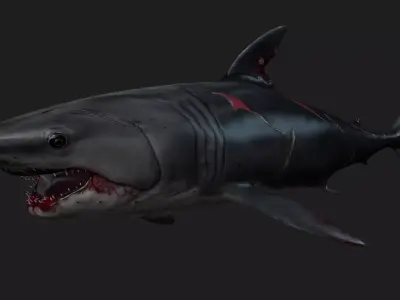Shark A2 Free 3D model