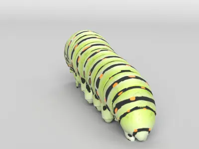 Animated Caterpillar 3D model