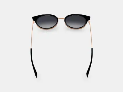 Cleo Sunglasses in Jet Black with Rose Gold 3D model