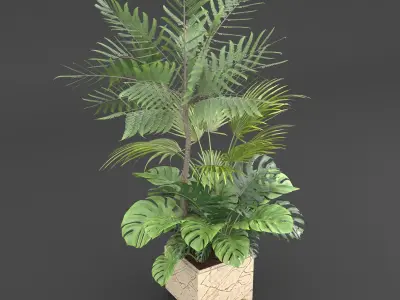 Indoor Plants Set 02 Free 3D model